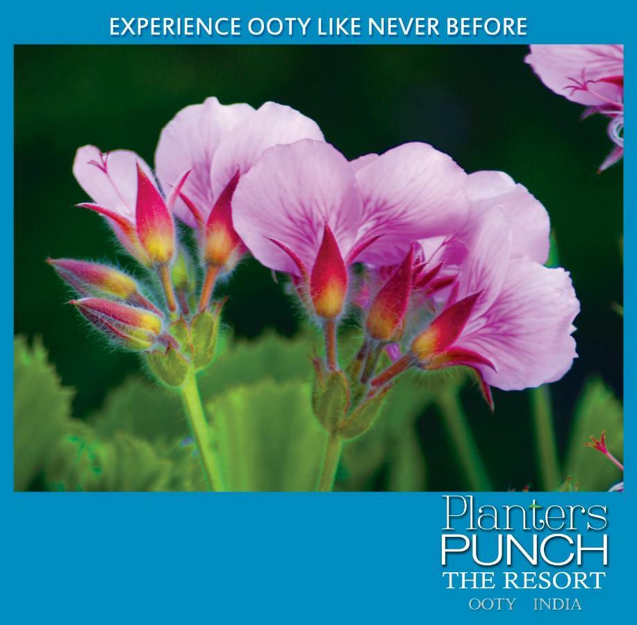 Planters Punch Βίλα Ooty Εξωτερικό φωτογραφία